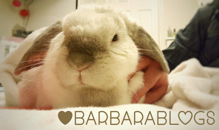 A letter to Santa from Barbara Rabbit #barbarablogs