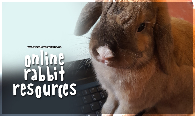 Online rabbit resources – my recommendations